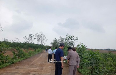 Chính chủ bán đất nền sát khu công nghiệp Lam Sơn Sao Vàng giá chỉ nhỉnh 9tr/m2